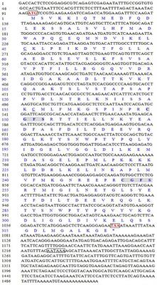 Molecular Characterization and Expression Analysis of a Novel Glutaredoxin 3 Gene in Pacific White Shrimp (Litopenaeus vannamei)